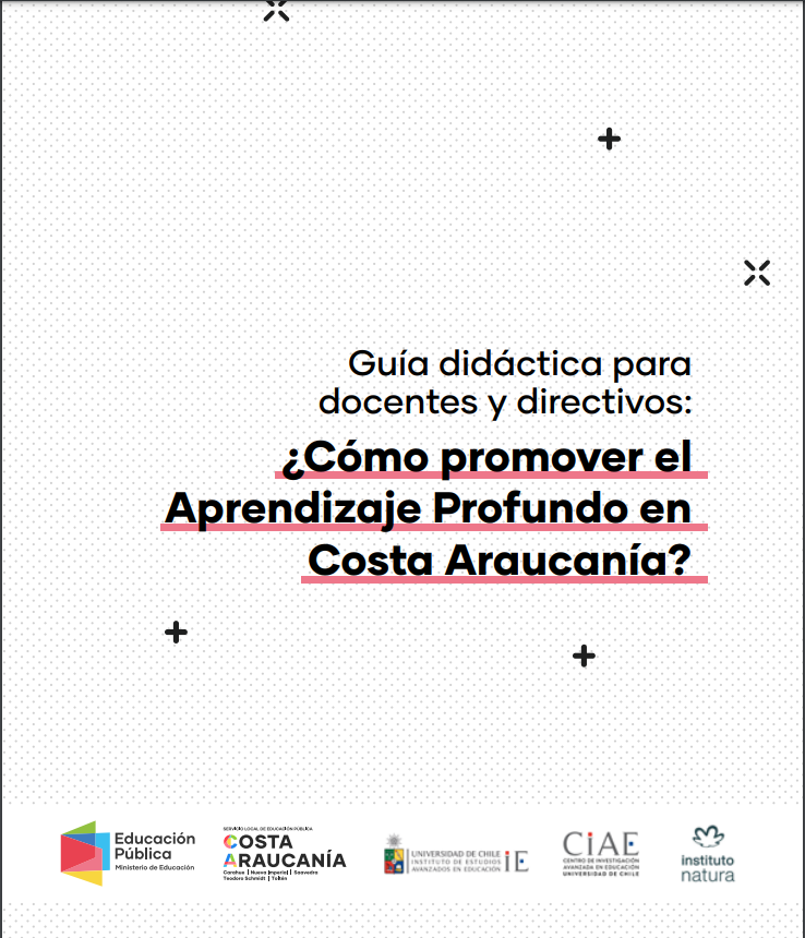 Guía didáctica para docentes y directivos: ¿Cómo promover el Aprendizaje Profundo en Costa Araucanía?